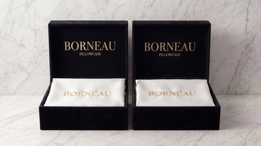 2 Borneau Pillowcases