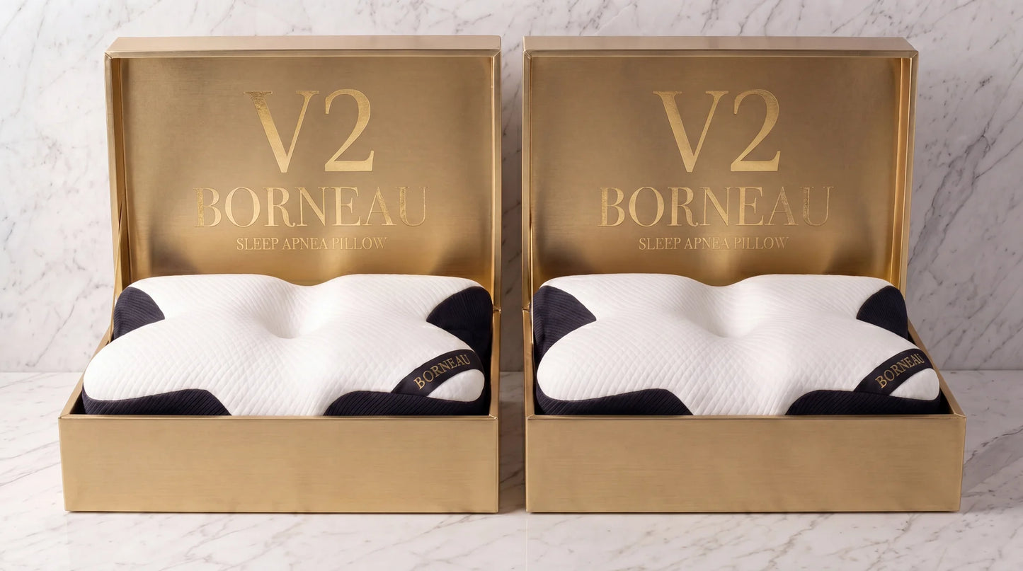 +2 Borneau V2 pillows