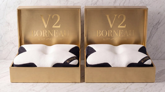 2 Borneau Upgrade V2